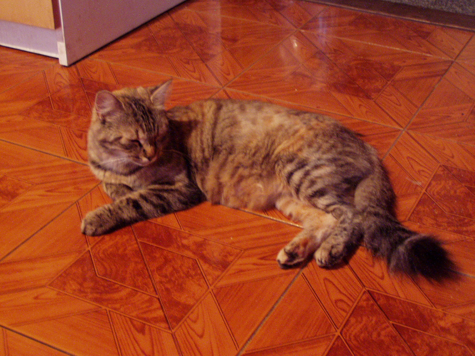 P1010267.JPG